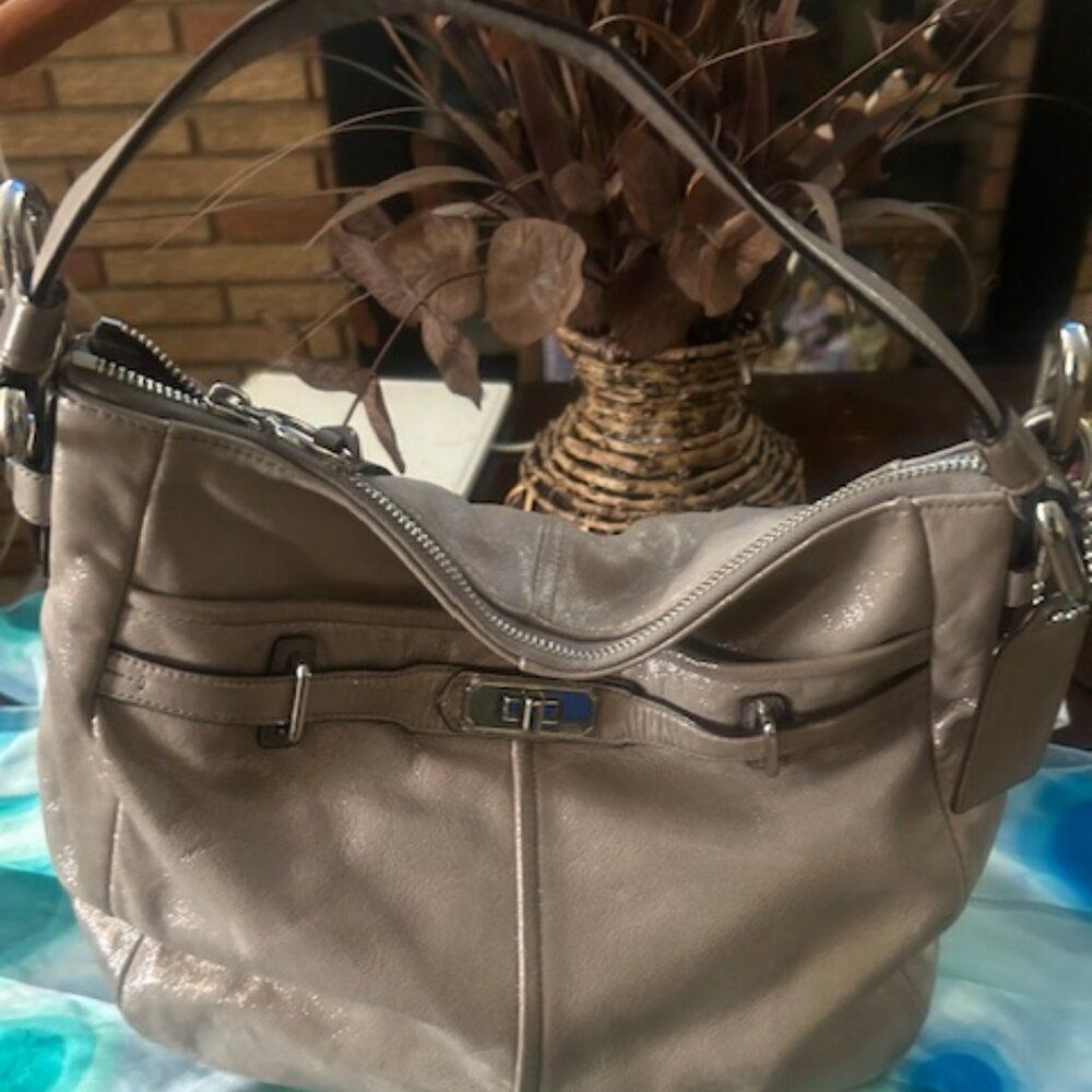 Coach Metallic Gray Shoulder Bag